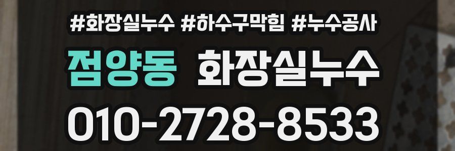 점양동 누수탐지
