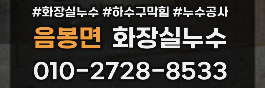 음봉면 누수탐지