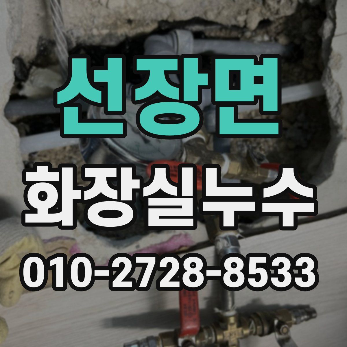 선장면 화장실누수탐지