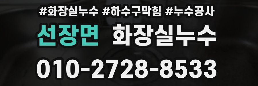 선장면 누수탐지