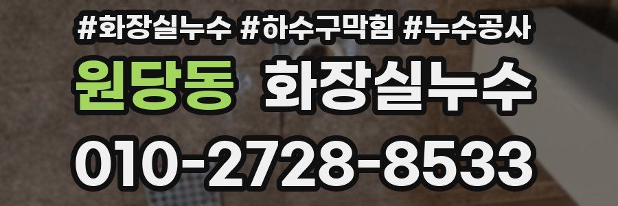 원당동 누수탐지