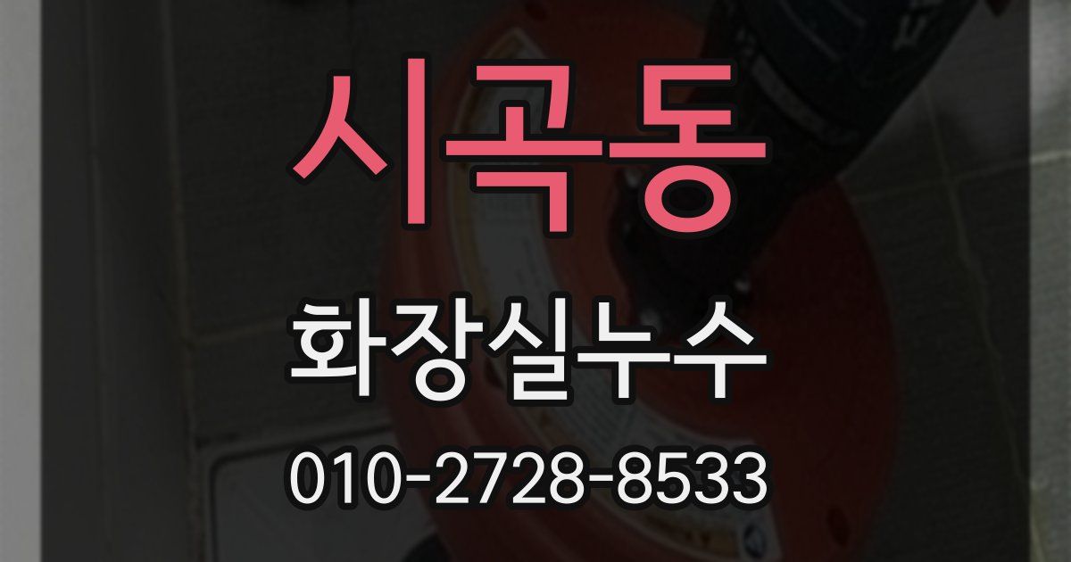 시곡동 누수업체