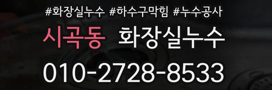 시곡동 누수탐지