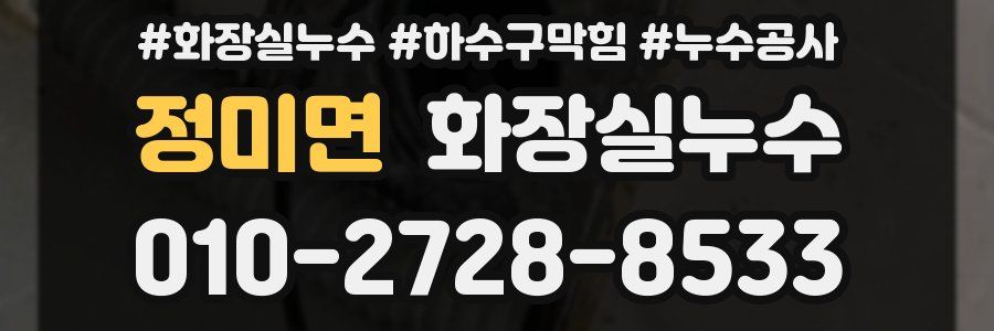 정미면 누수탐지