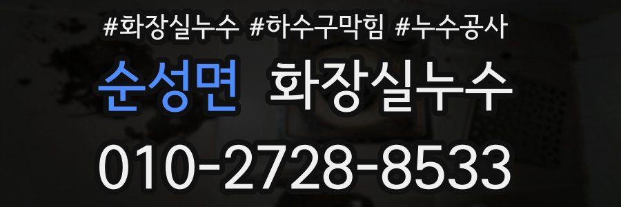 순성면 누수탐지