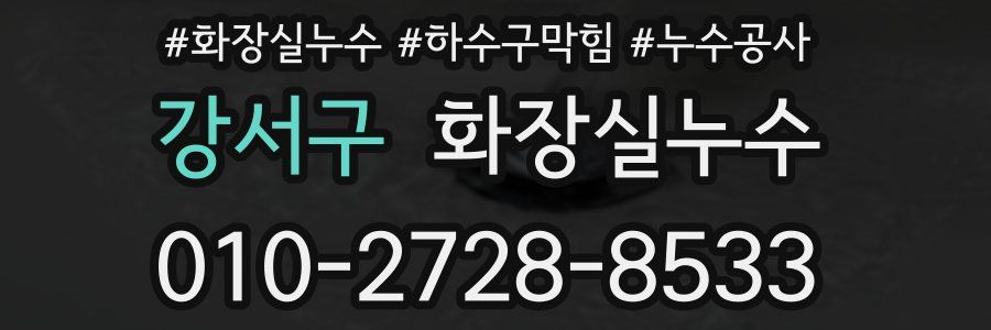 강서구 누수탐지