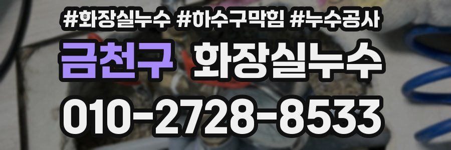 금천구 누수탐지