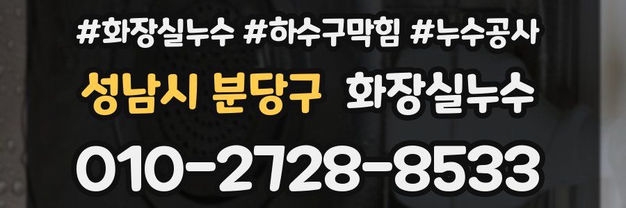 성남시 분당구 누수탐지