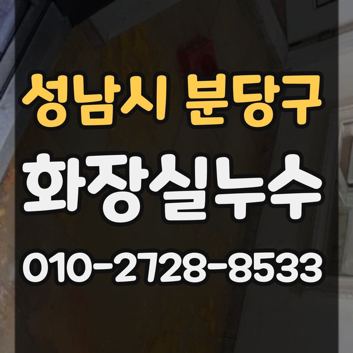 성남시 분당구 화장실누수탐지