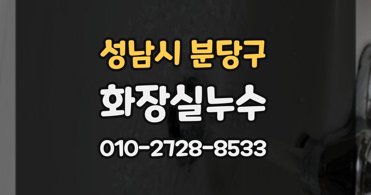 성남시 분당구 누수업체