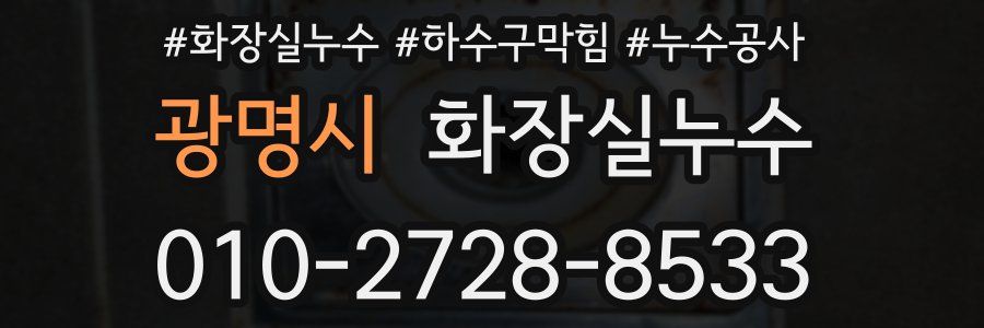 광명시 누수탐지
