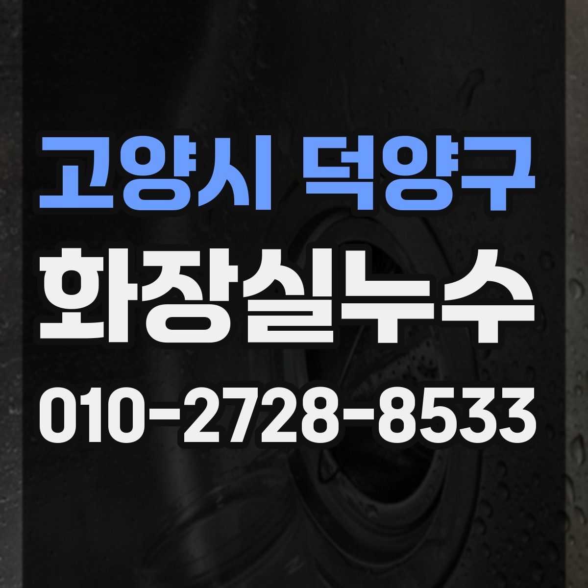 고양시 덕양구 화장실누수탐지