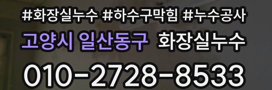 고양시 일산동구 누수탐지