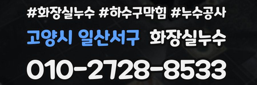 고양시 일산서구 누수탐지