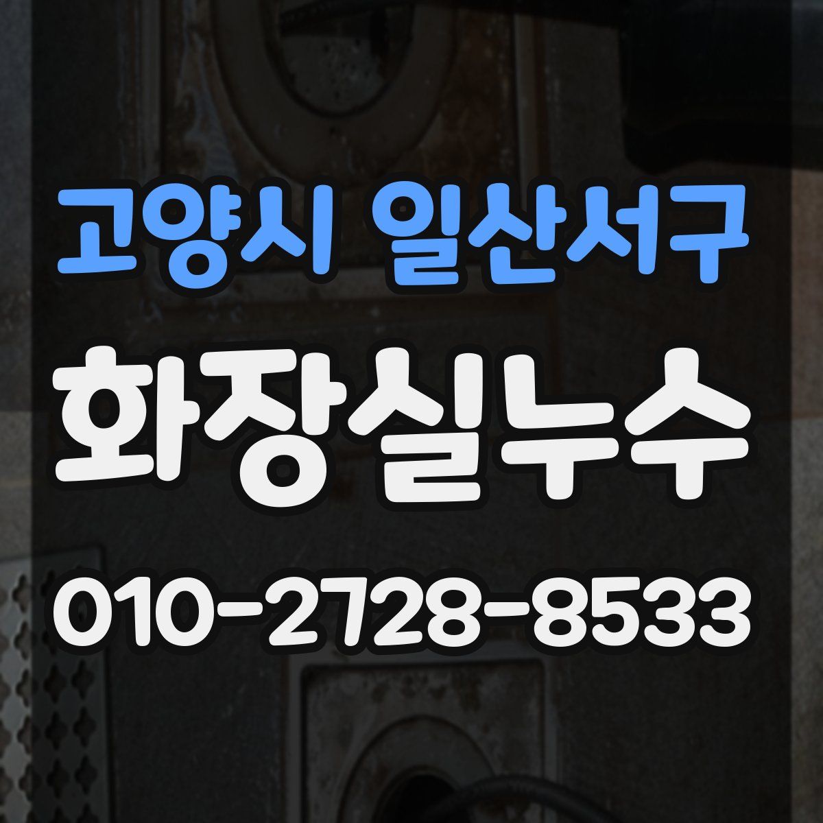 고양시 일산서구 화장실누수탐지
