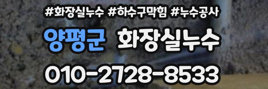 양평군 누수탐지