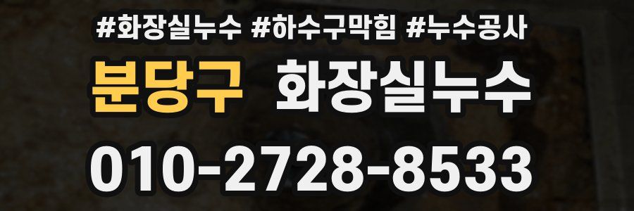 분당구 누수탐지