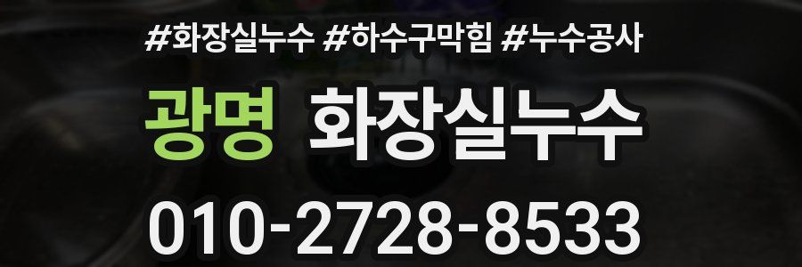 광명 누수탐지