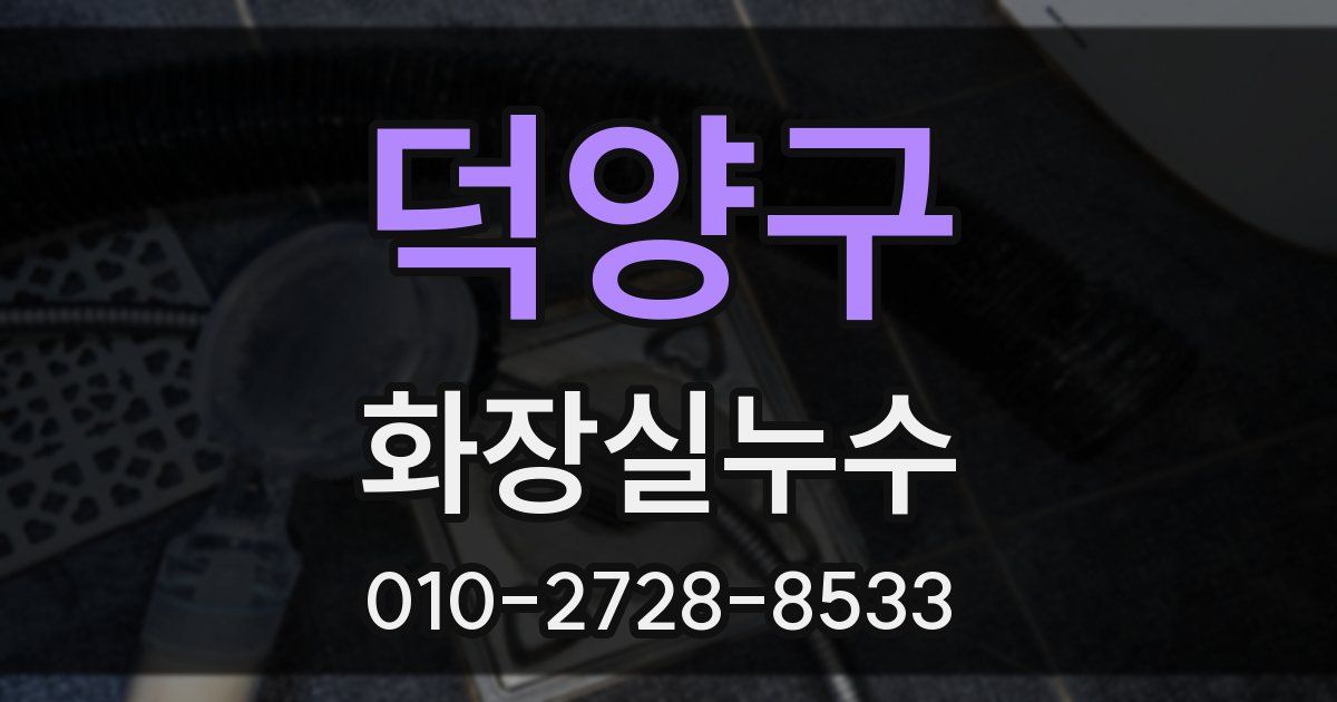 덕양구 누수업체
