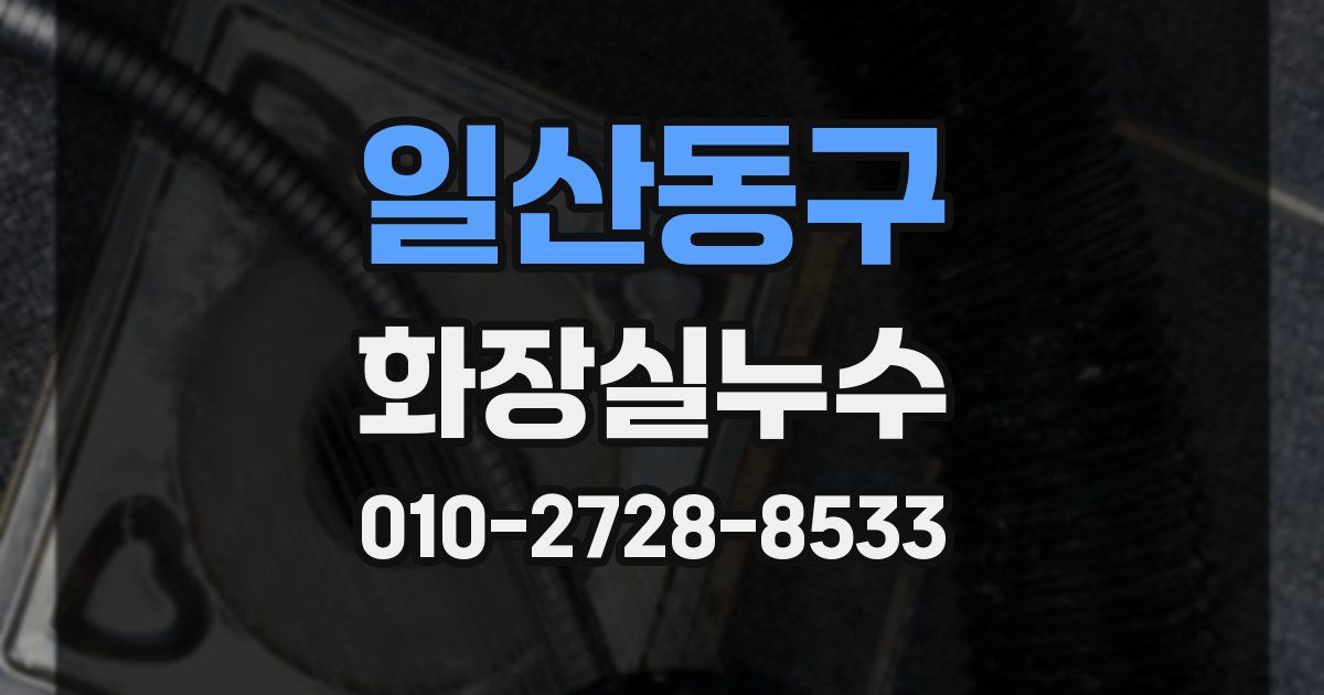 일산동구 누수업체