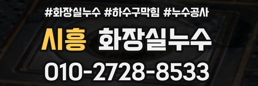 시흥 누수탐지