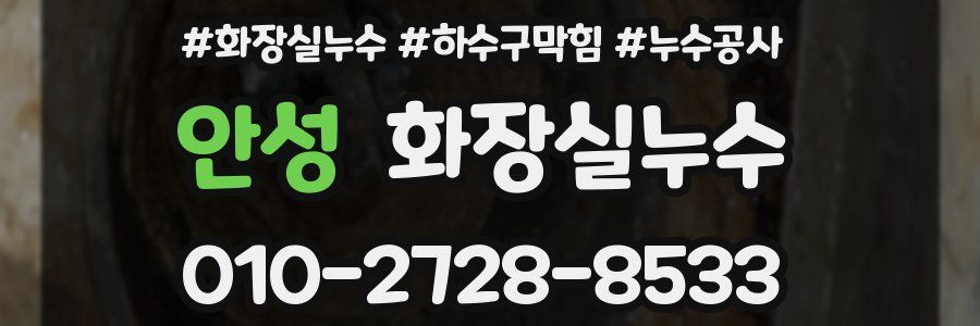 안성 누수탐지