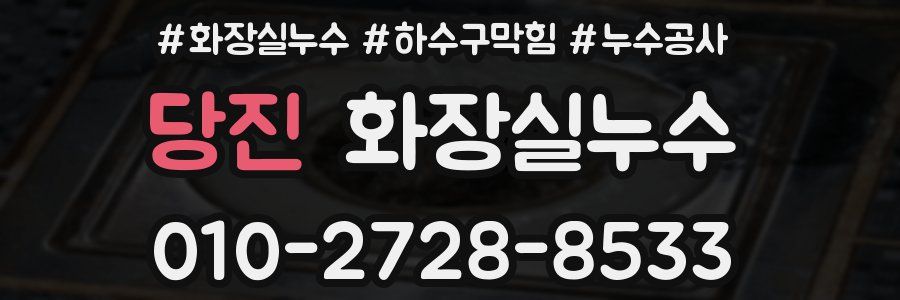 당진 누수탐지