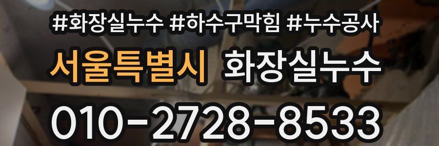 서울특별시 누수탐지