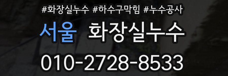 서울 누수탐지
