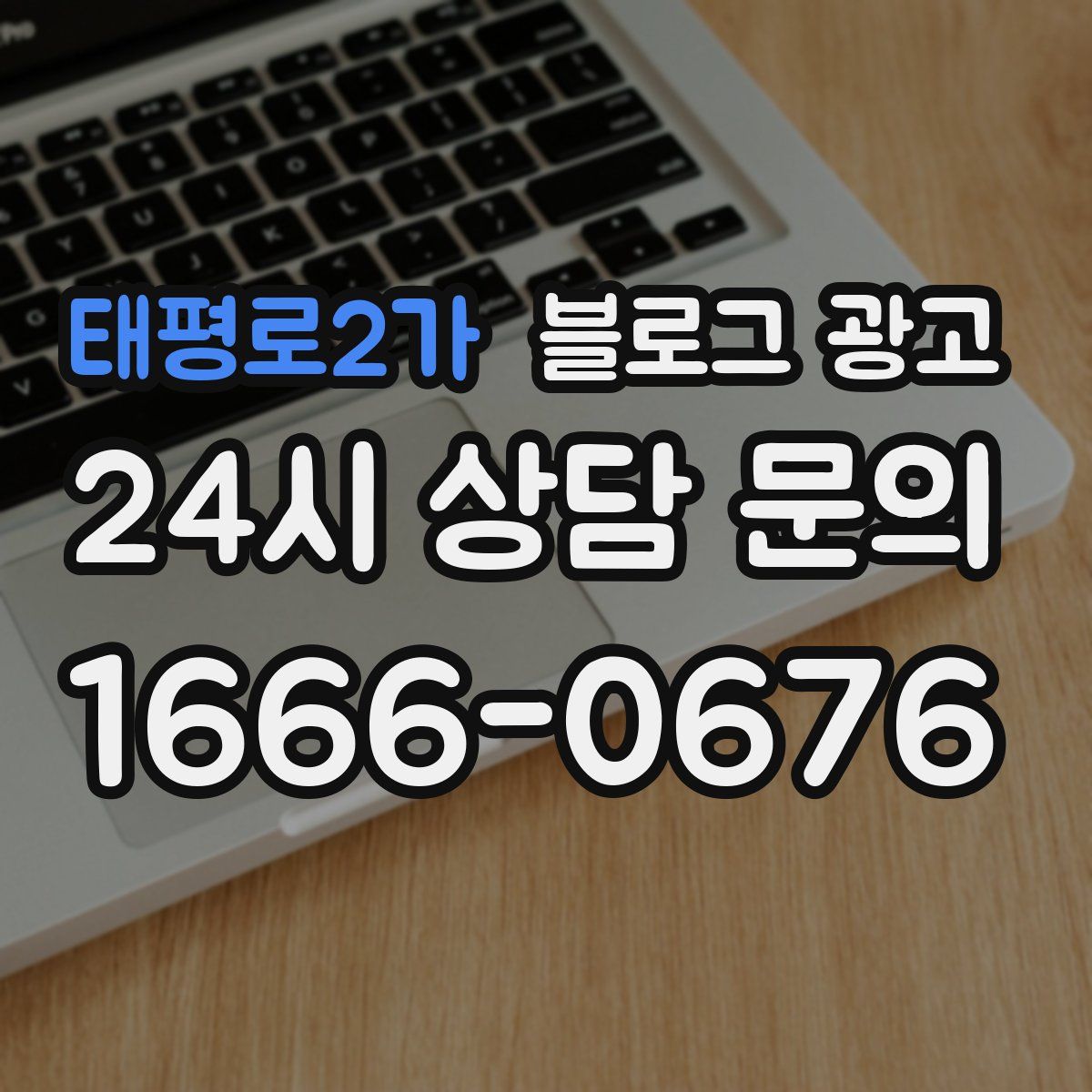 태평로2가 블로그 광고