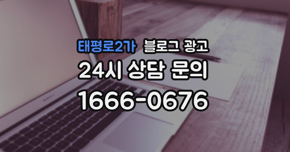 태평로2가 블로그 광고