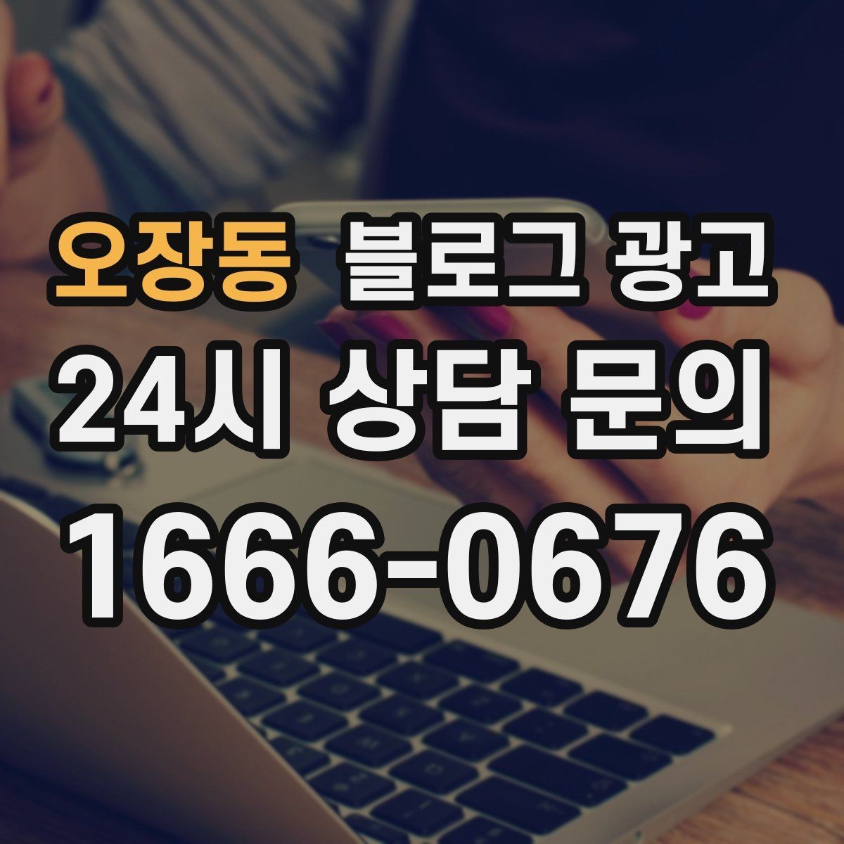 오장동 블로그 광고 검색 광고와의 역할 분담을 정리하는 글
