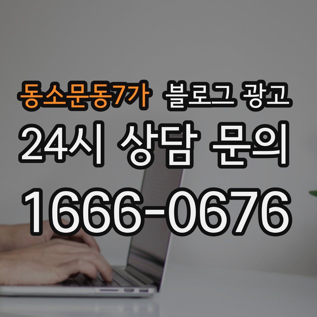 동소문동7가 블로그 광고 반려동물 병원과 미용샵을 위한 정보 글