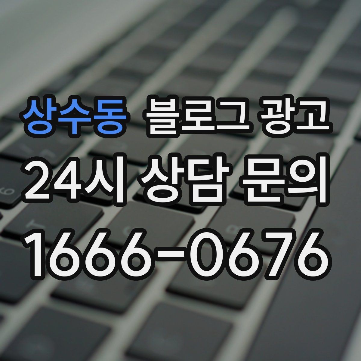 상수동 블로그 광고 반려동물 동반 가능한 매장을 알리는 포인트