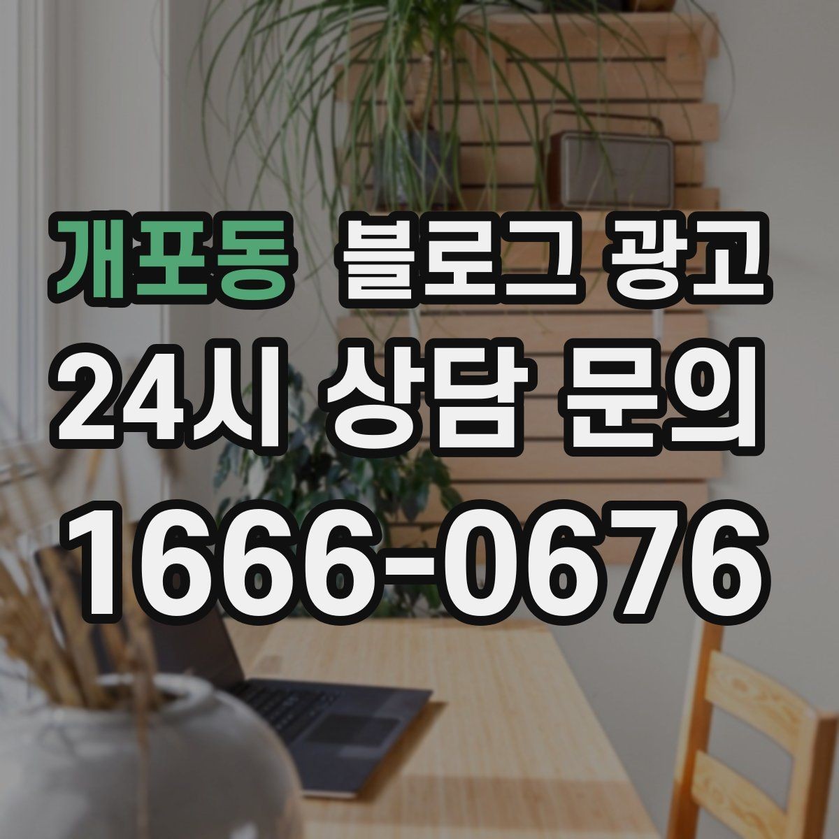 개포동 블로그 광고 휴가철 지역 방문객에게 보여 줄 로컬 가게 이야기