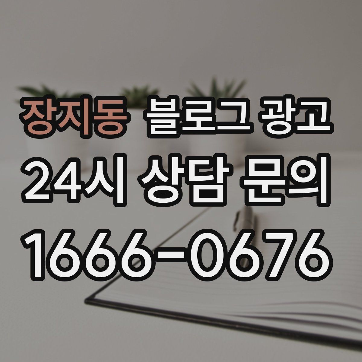 장지동 블로그 광고 가게 안에서 벌어지는 일상의 장면을 기록하기