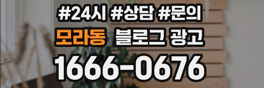 모라동 브랜드 블로그