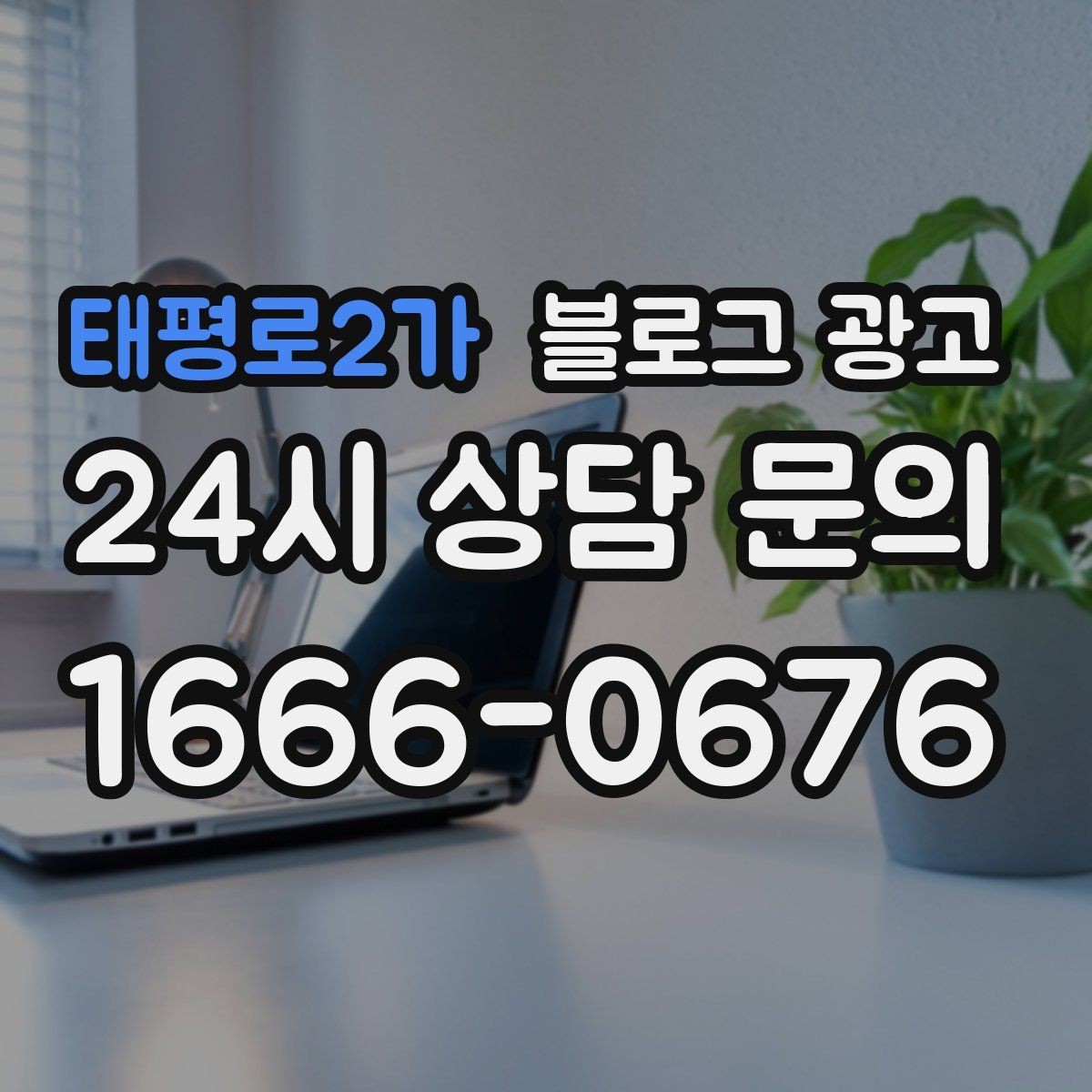 태평로2가 블로그 광고 지역 이슈와 트렌드를 자연스럽게 녹이는 글쓰기
