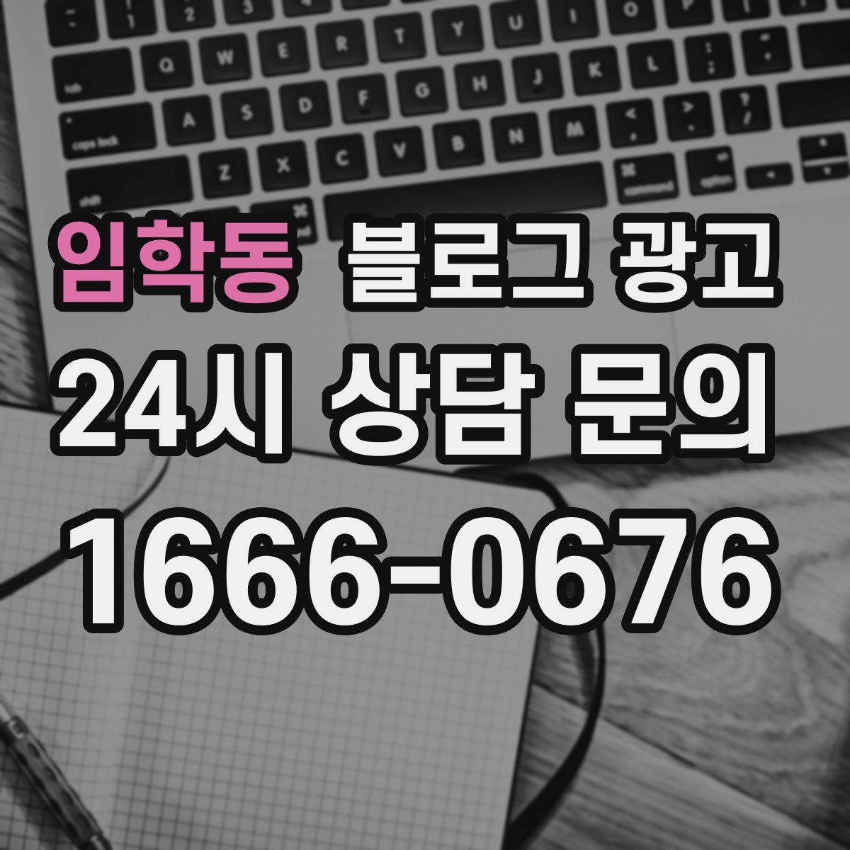 임학동 블로그 광고