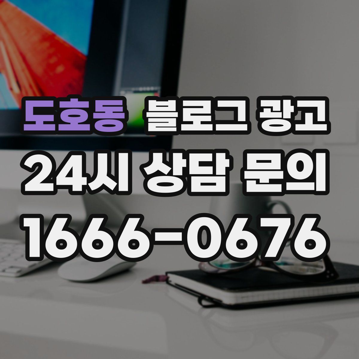 도호동 블로그 광고