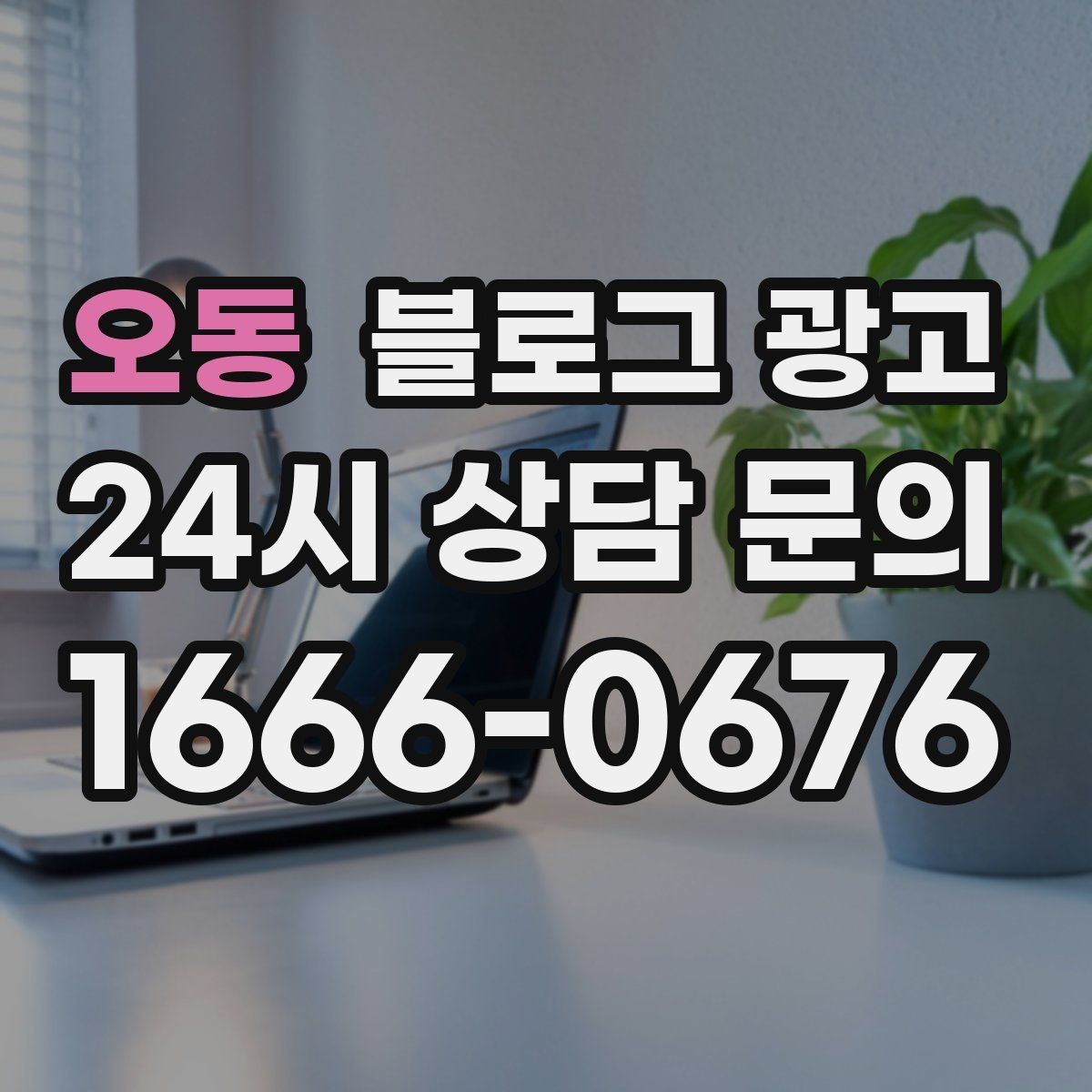 오동 블로그 광고 배달 가능 지역과 조건을 정리하는 글쓰기