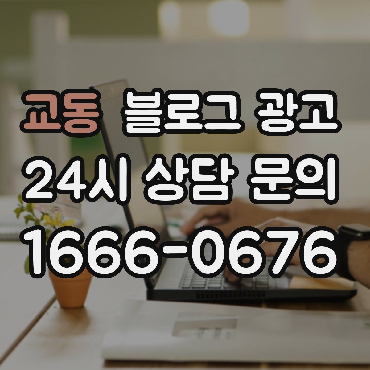 교동 블로그 광고 손님과 함께 찍은 사진으로 만드는 히스토리 글