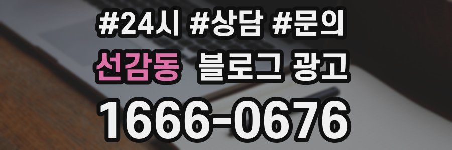 선감동 브랜드 블로그