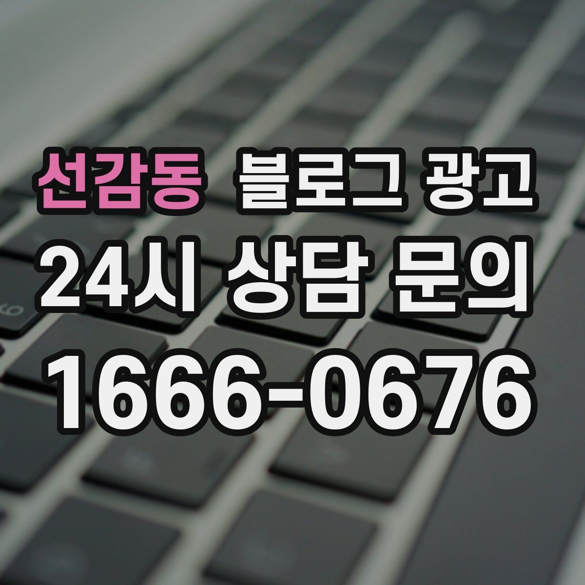선감동 블로그 광고