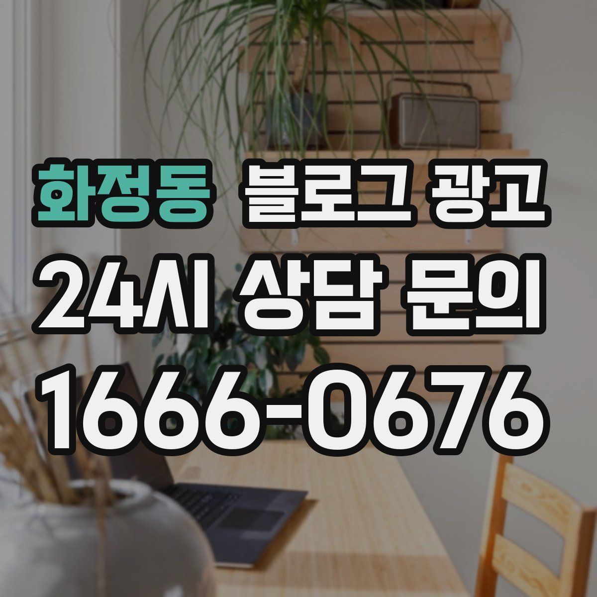 화정동 블로그 광고