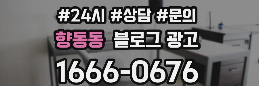 향동동 브랜드 블로그