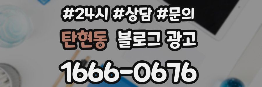 탄현동 브랜드 블로그