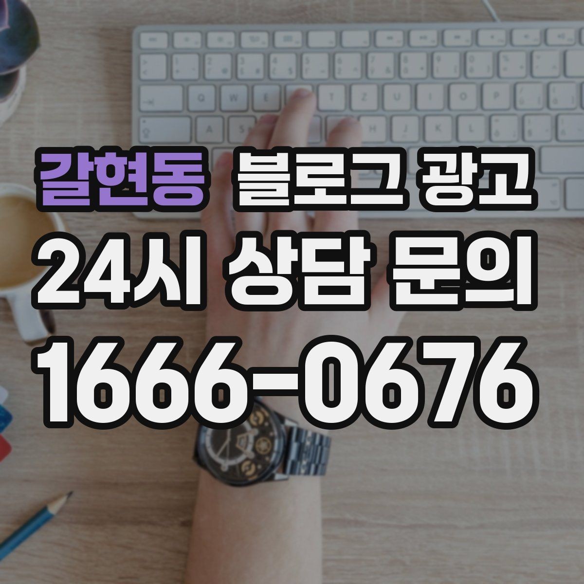 갈현동 블로그 광고 반려동물 병원 미용샵 보호자 안심 포인트 정리