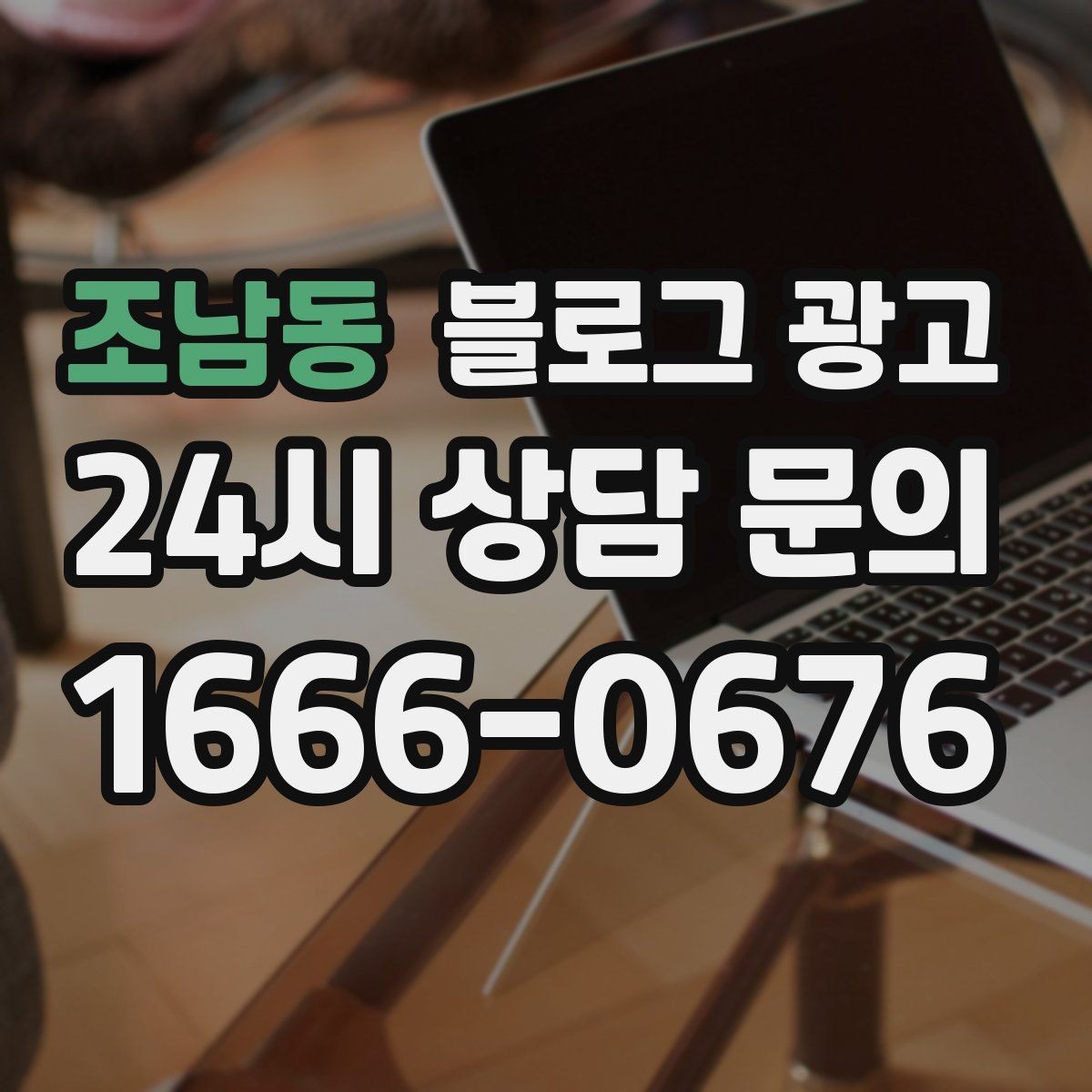 조남동 블로그 광고 반려동물 병원 미용샵 보호자 안심 포인트 정리