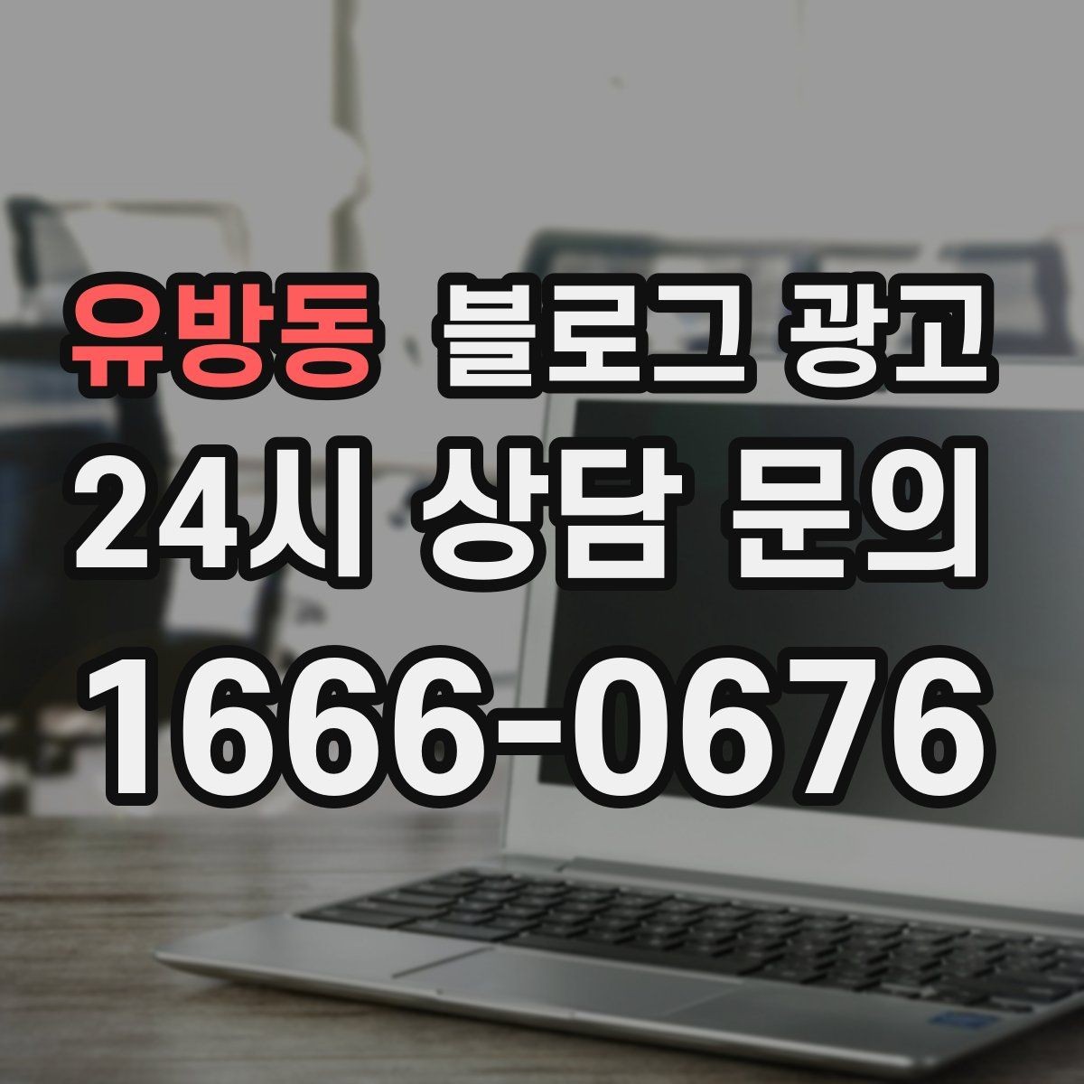 유방동 블로그 광고 여러 서비스 패키지를 한눈에 정리하는 구성